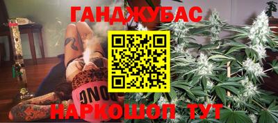гидра Можга