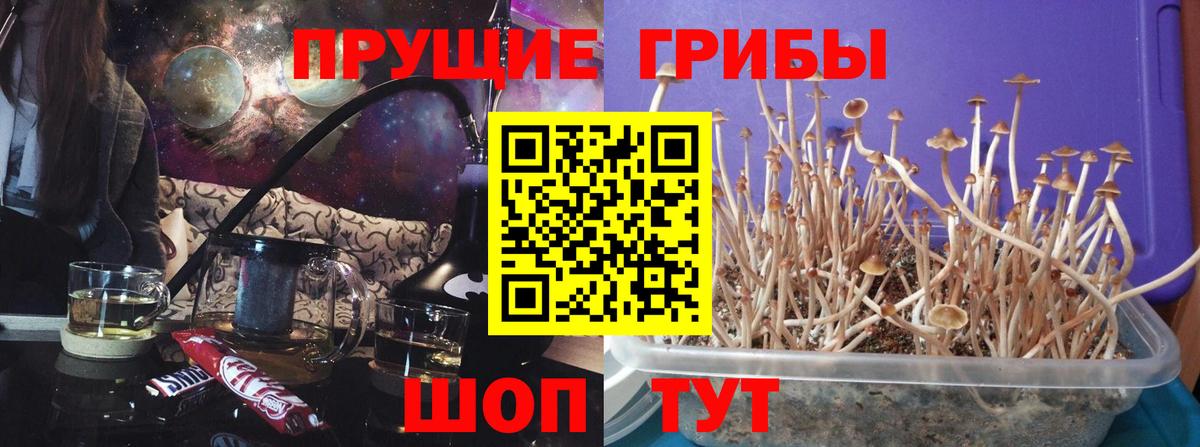 Псилоцибиновые грибы Magic Shrooms Фурманов
